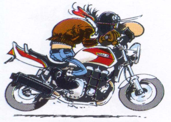 Honda CB 1000.jpg (77601 byte)