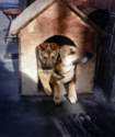 Photo Number 7