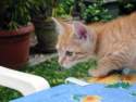 Photo Number 9