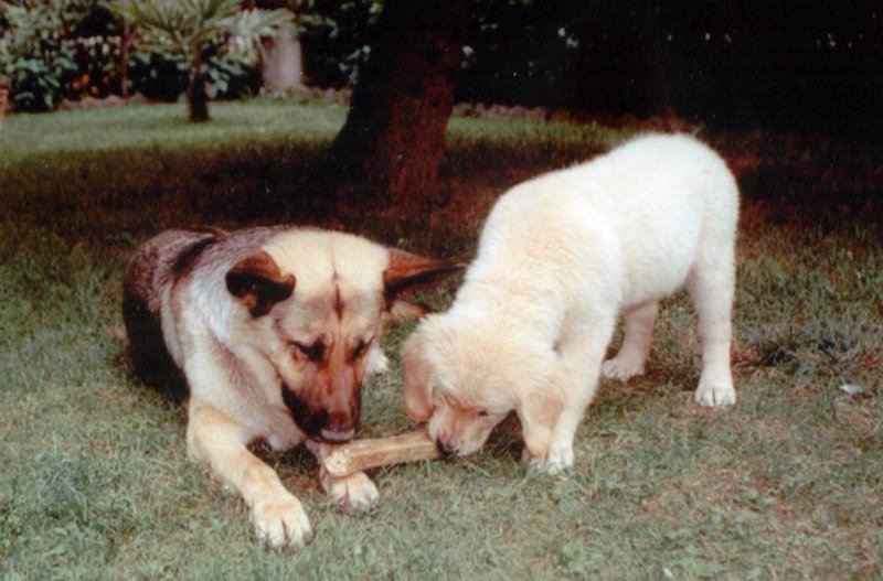 Photograph