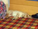 Photo Number 13