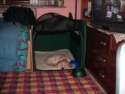 Photo Number 5