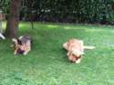 Photo Number 14
