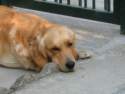Photo Number 9