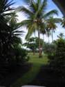 Photo Number 9