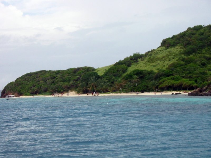 Photograph