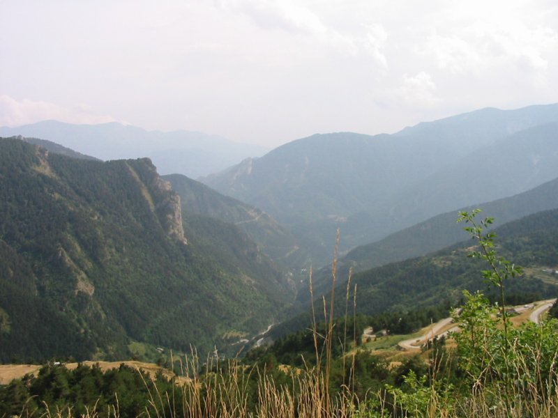 Photograph