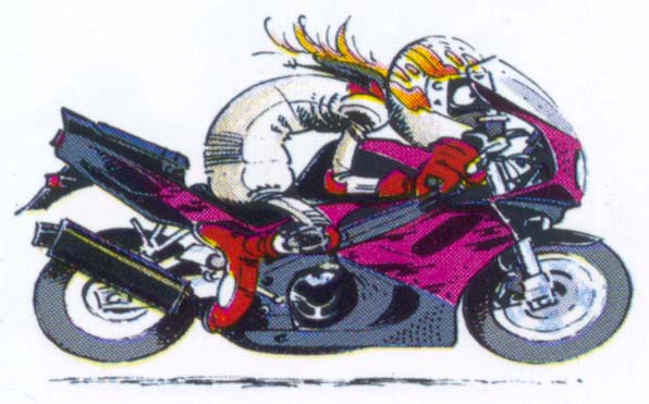 CBR 900 rr.jpg (69904 byte)