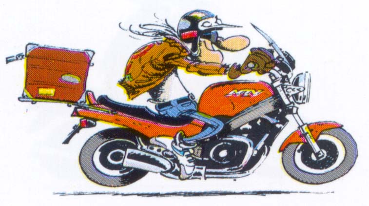 NTV 650 Revere.jpg (82215 byte)