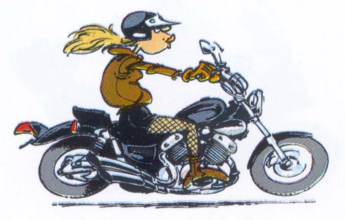 Virago XV535.jpg (74312 byte)