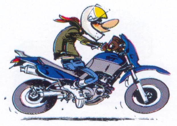 XT 600.jpg (79108 byte)