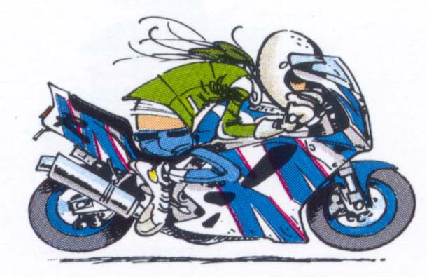 gsxr.jpg (75529 byte)